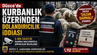 Kurbanlık Dolandırıcılarına Jandarma Darbesi