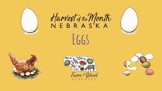 Harvest of the Month: Eggs