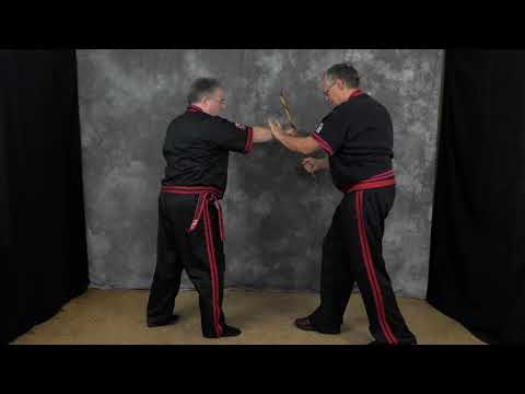 35 years of DAV 15 - GM Dieter Knuettel