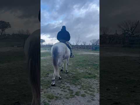 Un caballo que hace tiempo que no se monta!