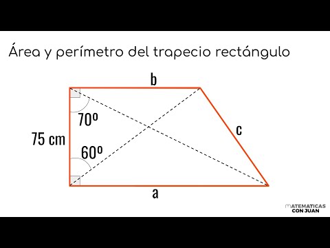 HALLAR EL ÁREA Y EL PERÍMETRO DEL TRAPECIO RECTÁNGULO. Matemáticas Básicas