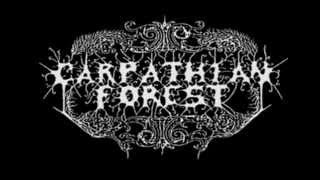 Carpathian Forest - The last night of Nostalgia (cover)