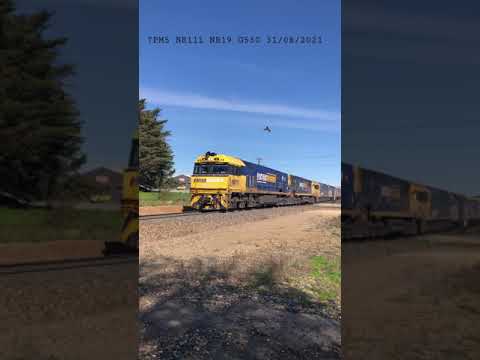 TRAINS AM22 7pm5 NR111 NR18 G530 31/08/2021