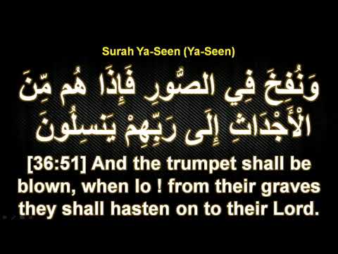 Surah Yaseen - Shahadat Day of Bibi Khadija - 15/05/2019