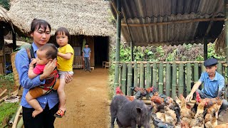 Single mother - Making red peanut sticky rice to sell - Grandfather making pig pens - everyday life