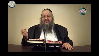 חוק לישראל - פרשת נח - יום שלישי | הרב שלמה לוינשטיין (ארגון קול הלשון) - התמונה מוצגת ישירות מתוך אתר האינטרנט יוטיוב. זכויות היוצרים בתמונה שייכות ליוצרה. קישור קרדיט למקור התוכן נמצא בתוך דף הסרטון חוק לישראל - פרשת נח - יום שלישי | הרב שלמה לוינשטיין (ארגון קול הלשון) - התמונה מוצגת ישירות מתוך אתר האינטרנט יוטיוב. זכויות היוצרים בתמונה שייכות ליוצרה. קישור קרדיט למקור התוכן נמצא בתוך דף הסרטון