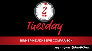 Bird Spike Adhesive Comparison