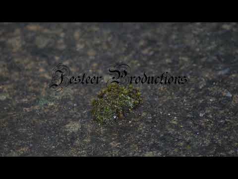 3010: Hard Trap/Rap Instrumental