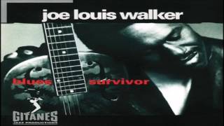 JOE LOUIS WALKER - Part of Me