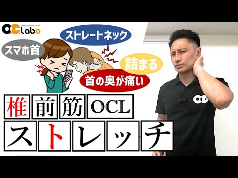 椎前筋ストレッチ