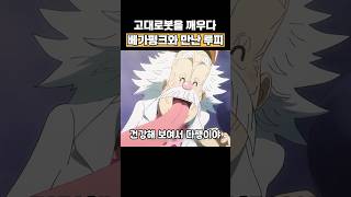 고대로봇을 깨우려던 루피와 만난 베가펑크👈봐줘