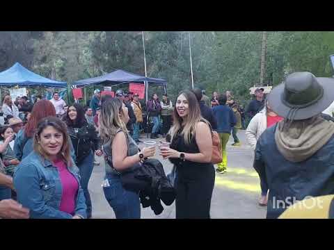 los pumas de rio claro (en vivo) fiesta del chivo cordillerano