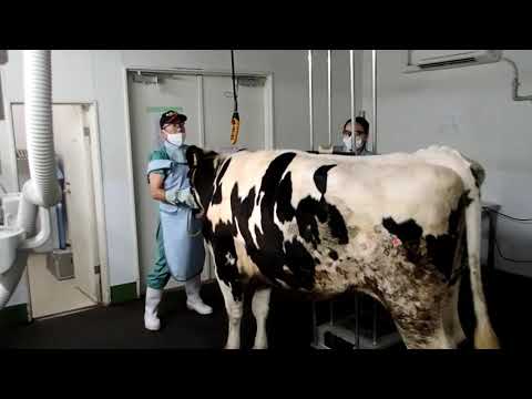 麻布大学 産業動物臨床教育センター（LAVEC）紹介～産業動物の進化を“見る”