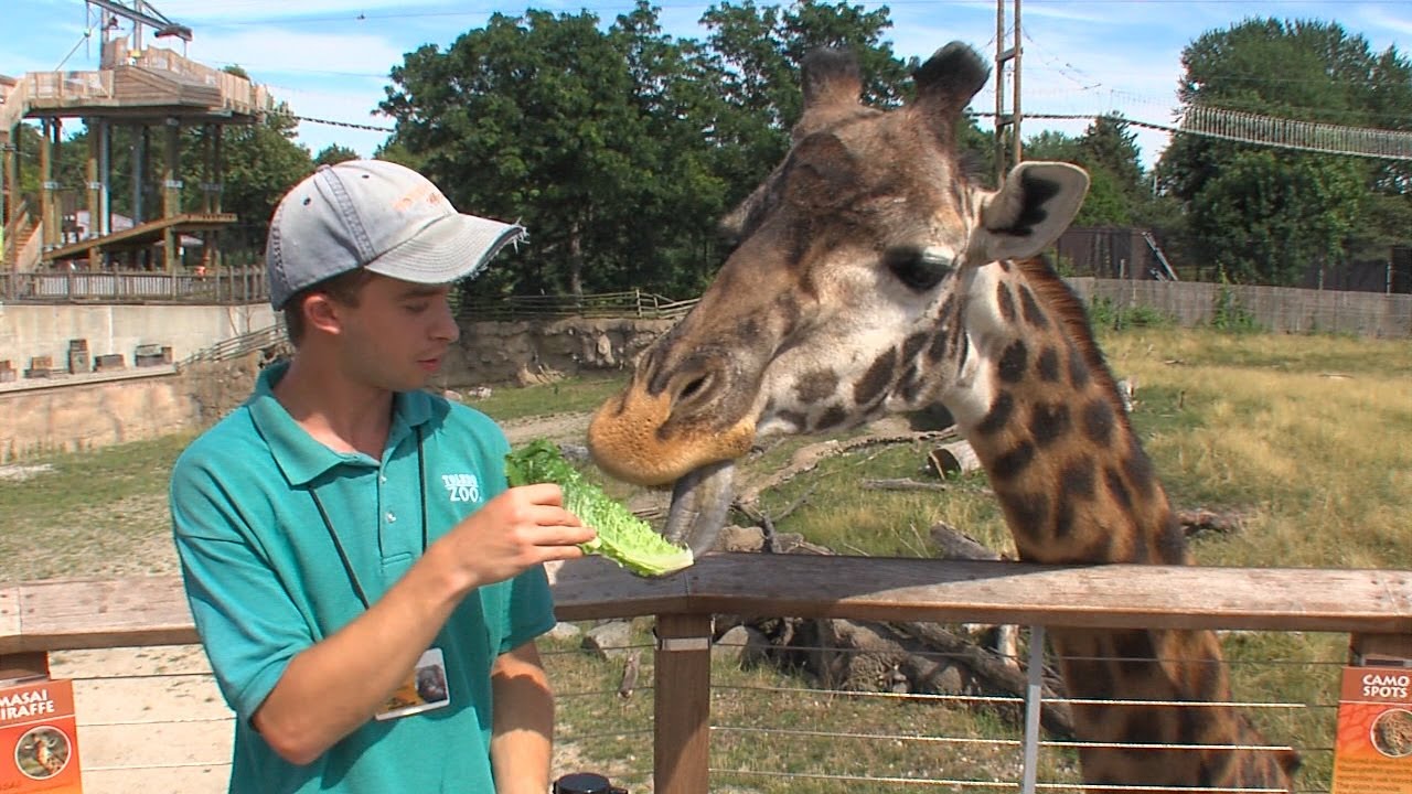 Destination Toledo 07/09/2017