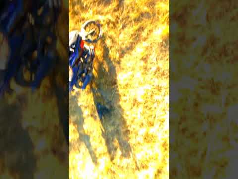 Drone Shot Raees 2 Song Shah Rukh Khan | SRK Attitude | Whatsapp Status | King Khan Badshah NIHEROSE