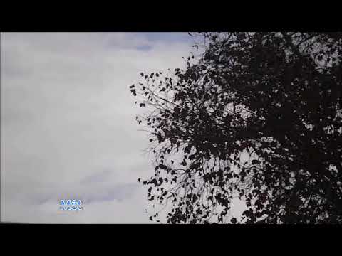 Sớm mùa Đông - Hồng Tước