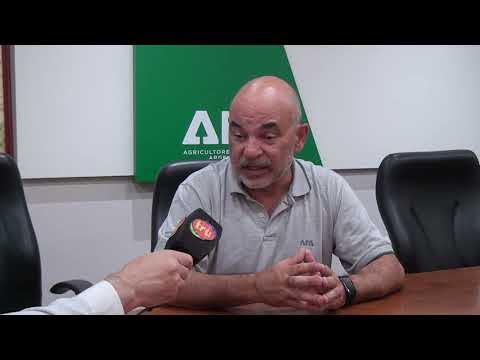 Marcos Juárez: ¿Cómo vienen los cultivos de maíz y soja?