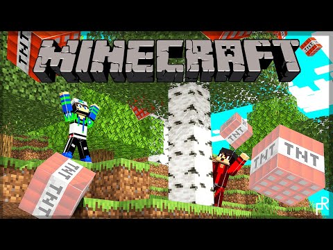 Elytra clutch |Minecraft