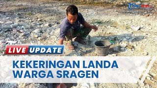 Imbas Kekeringan, Warga Glagah Sragen Hanya Andalkan Sumur Belik Kecil di Tengah Sungai Mengering