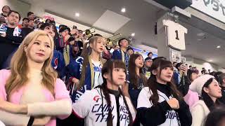 20241121 東京巨蛋外野 江坤宇應援 #cheerleader #台湾チア