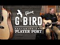 Gibson G-Bird Video