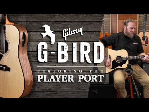 Gibson G-Bird Video