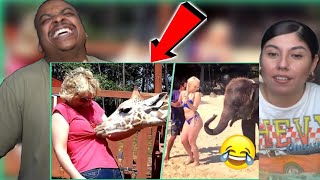 TRY NOT TO LAUGH BEST FUNNY VIDEOS MEMES PART 160 REACTION