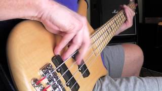 Video thumbnail for The Puppy Barks Bass Demo by bechtelrecords