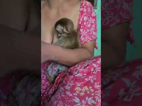 bath is pinky mommy in the 🫂 hug