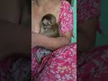 Bath Is Pinky Mommy In The Hug