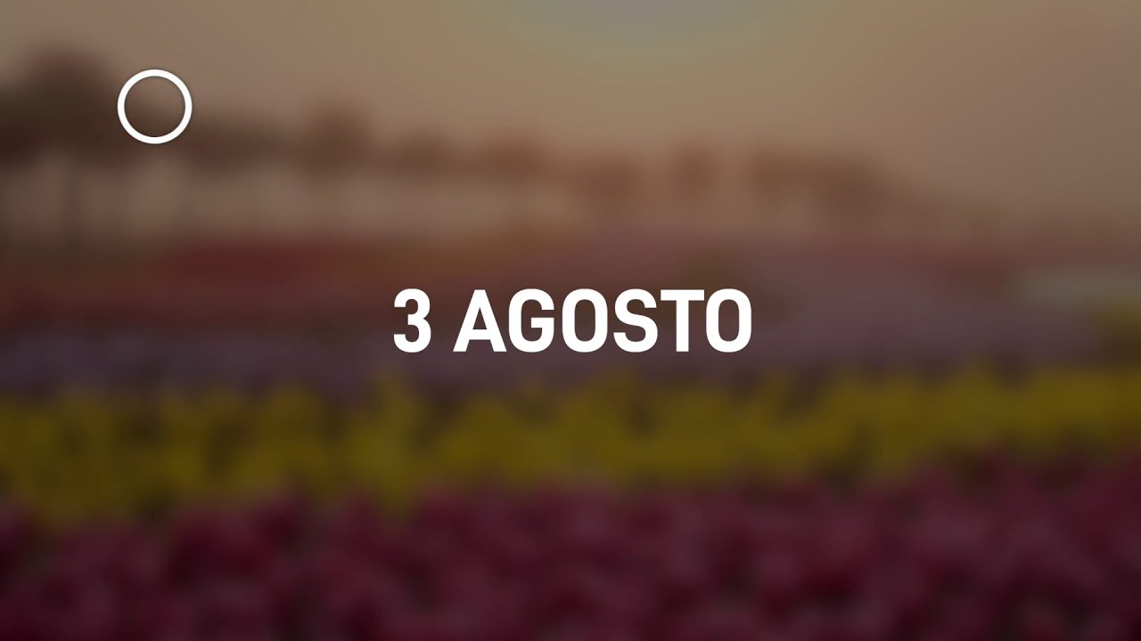 03 Agosto 2024 | Meditazione Parole di Vita