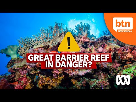Is The Great Barrier Reef In Danger?