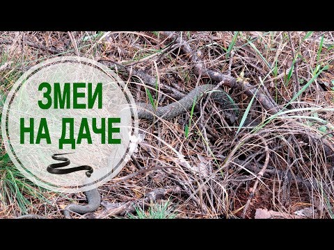 Какие препараты отбеливают кожу Мелкие красные точки как веснушки
