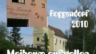 preview picture of video 'MAIBAUM aufstellen in Roggendorf 2010.mpg'