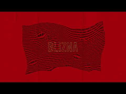 LSDM - BLIZNA