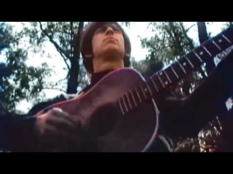 Los Shakers // Reviens Ma Cherie (1966)