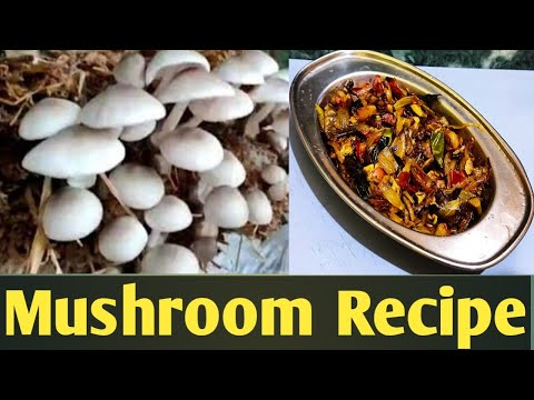 Mushroom Recipes|How to make Mushroom Recipes|Mushroom fry|Mushroom Curry|Mushroom recipe in hindi