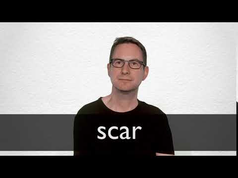 Scar Definition And Meaning Collins English Dictionary