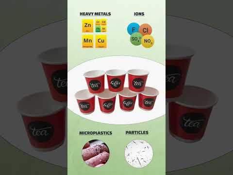 Bio TEA CUPS 300 ML Ecosphere 100% Compostable PLA Coated