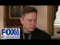 Elon Musk Exposes Why Democrats Don T Want Waste And Fraud To Be Turned Off