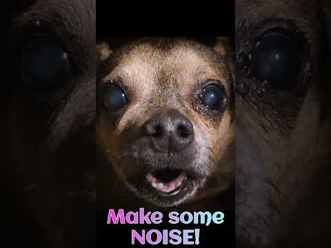 It’s Thursday, and that means it’s nearly the weekend! #ThursdayThoughts #LoudMouth #MakeSomeNoi...