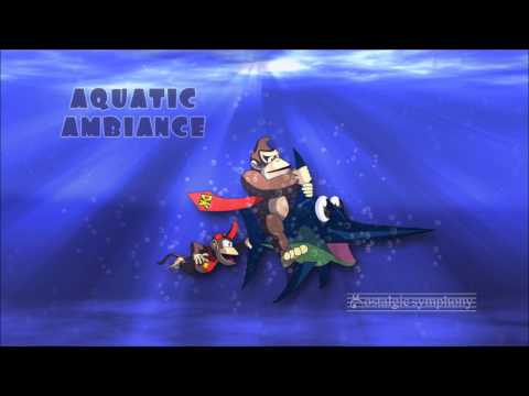 Nintenmix 207 - Aquatic Ambiance