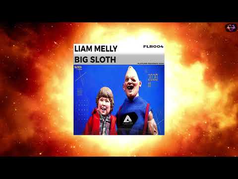Liam Melly - Big Sloth (Original Mix) [FLATLINE RECORDINGS]
