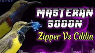 Download lagu MASTERAN SOGON ZIPPER VS CILILIN #sogon #sogongacor #sogonngobra #sogonbahan mp3 Download lagu MASTERAN SOGON ZIPPER VS CILILIN #sogon #sogongacor #sogonngobra #sogonbahan mp3