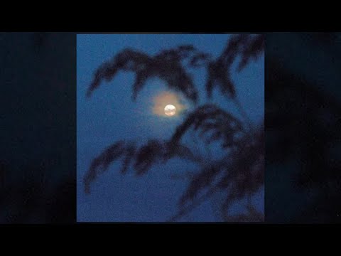 [FREE] $uicideboy$ Type Beat - "BRANCHES" | Chill Phonk Beat