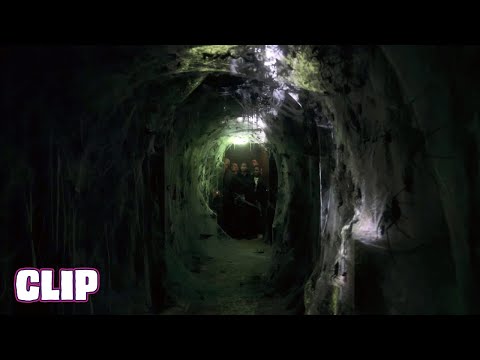 INFESTED (Vermin)(2024) CLIP "Dodging Cobwebs" (HD) FRENCH SPIDER HORROR