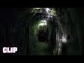 INFESTED Vermin 2024 CLIP Dodging Cobwebs HD FRENCH SPIDER HORROR