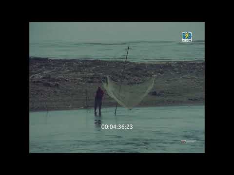 Non disturbare stanno uccidendo (Ennio Guarnieri, 1972)