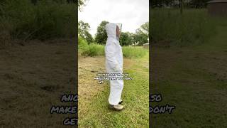 How To Put On A Bee Suit! #summeronshorts