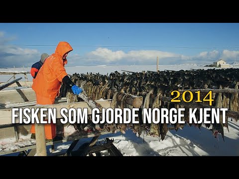 Torsk - fisken som gjorde Norge kjent i verden (2014).